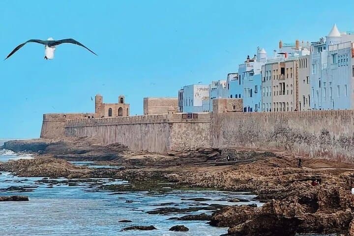Essaouira Day Trip from Marrakech: Argan Co‑ops, Medina & Atlantic Shores photo 2