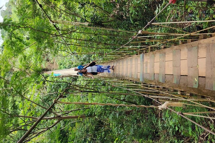 Roatán Monkey and Sloth Jungle Zipline and Island Panorama Tour photo 3