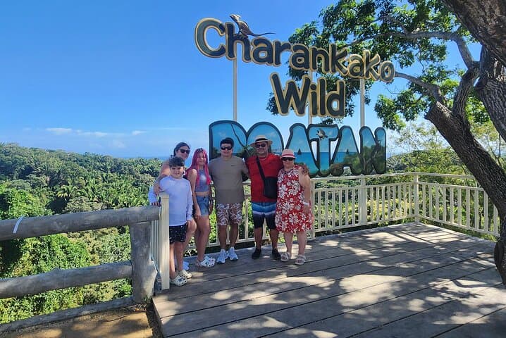 Roatán Monkey and Sloth Jungle Zipline and Island Panorama Tour photo 4