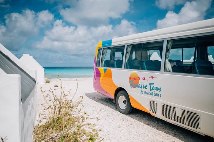 Half-Day Highlights of Bonaire: Salt Flats, Slave Huts & 1000 Steps photo 3