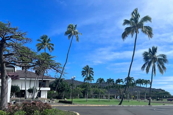 Secret Oahu Half-Circle Tour with a Local — Skip the Crowds photo 4