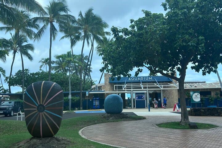 Secret Oahu Half-Circle Tour with a Local — Skip the Crowds photo 6