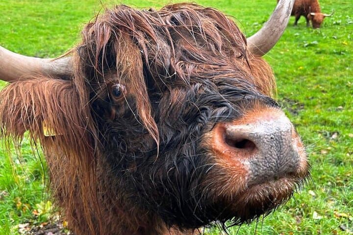 Skye, Loch Ness & Glencoe: Private 3-Day Highlands Tour from Glasgow photo 4