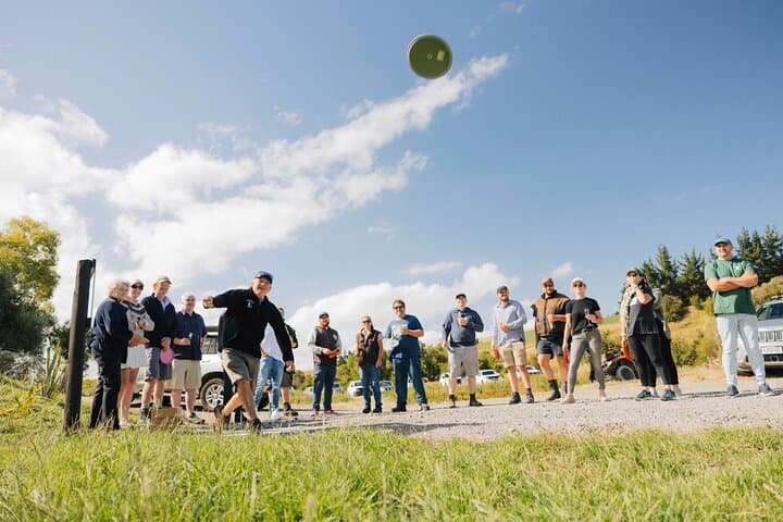 Ridgeway Play: Disc Golf, Robot Shooting & Axe Throwing Near Christchurch