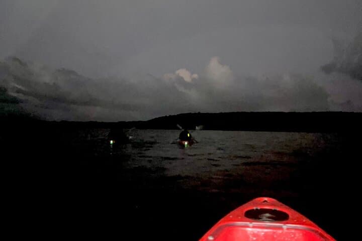 Vieques Bioluminescent Kayak: Mosquito Bay Night Paddle Guide photo 5