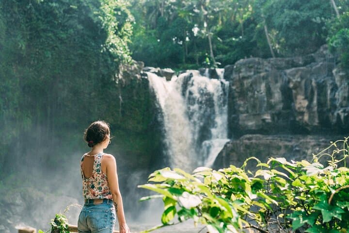 Ubud Full-Day: Waterfalls, Rice Terraces, Monkey Forest & Holy Water Temple photo 5
