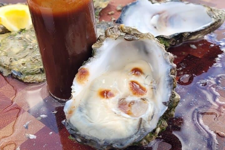 Coffin Bay Oyster Adventure: Oyster Farm Tour & Shucking Lesson