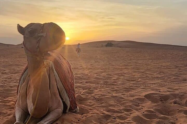 Private Morning Desert Safari from Ras Al Khaimah — Dune Bashing & Camel Ride