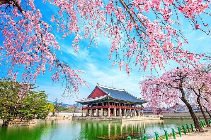Seoul Gastroventure: Gyeongbokgung Palace & Insadong Food Day Tour photo 5