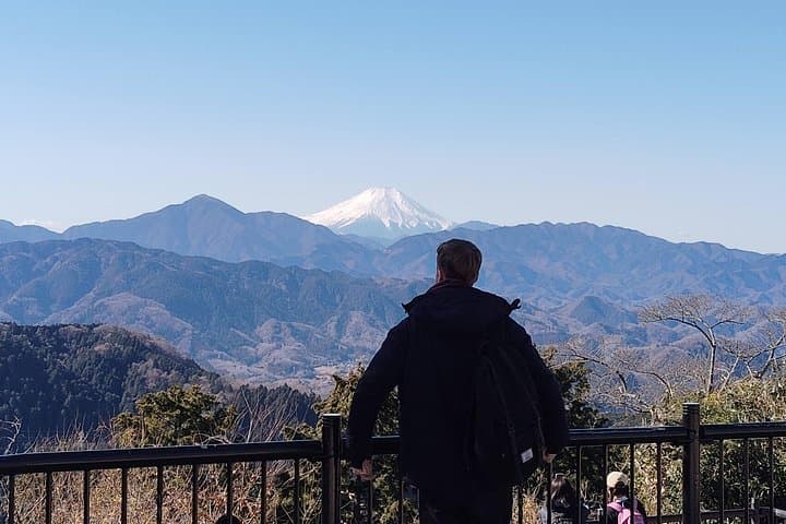 Mount Takao Guided Day Trip from Shinjuku: Train, Cable Car & Yakuoin Temple