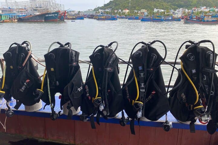 Nha Trang Marine Park: Two Guided Beginner Scuba Dives to Coral Reefs photo 4