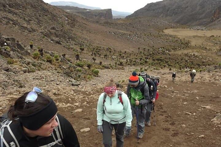 Chogoria Route: 5-Day Mount Kenya Trek to Point Lenana photo 3