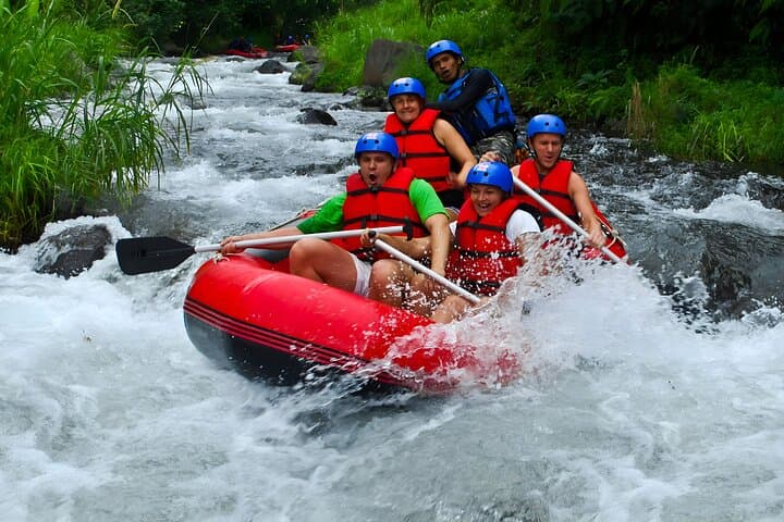 Ayung River Rafting in Ubud: Class II–III Whitewater Through Bali's Jungle photo 2
