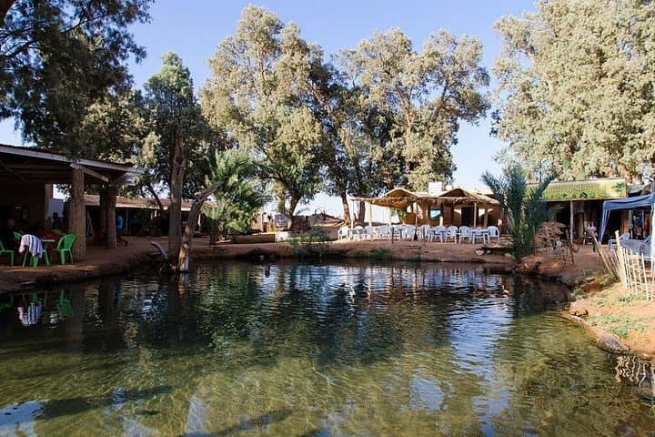 Ksar Ghilane & Matmata Day Trip from Djerba — Oasis Baths, Troglodyte Homes & Star Wars Sites photo 2