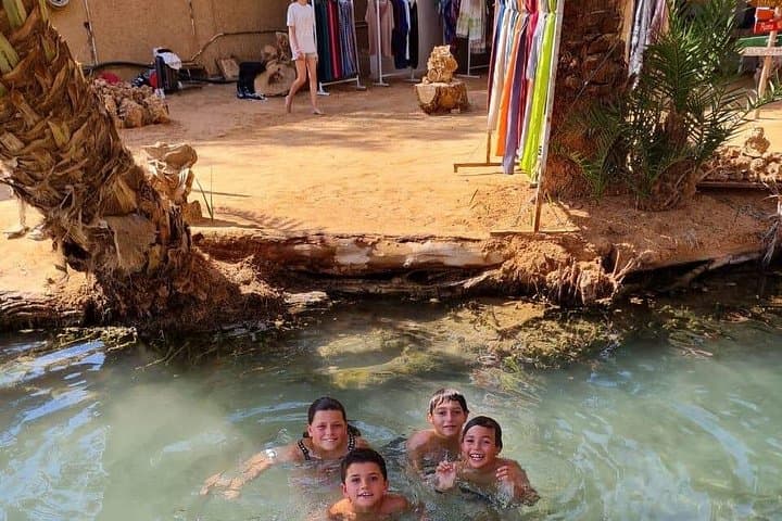 Ksar Ghilane & Matmata Day Trip from Djerba — Oasis Baths, Troglodyte Homes & Star Wars Sites photo 3