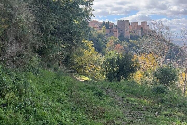 Running the Alhambra: Granada's Offbeat 90-Minute Running Tour photo 4