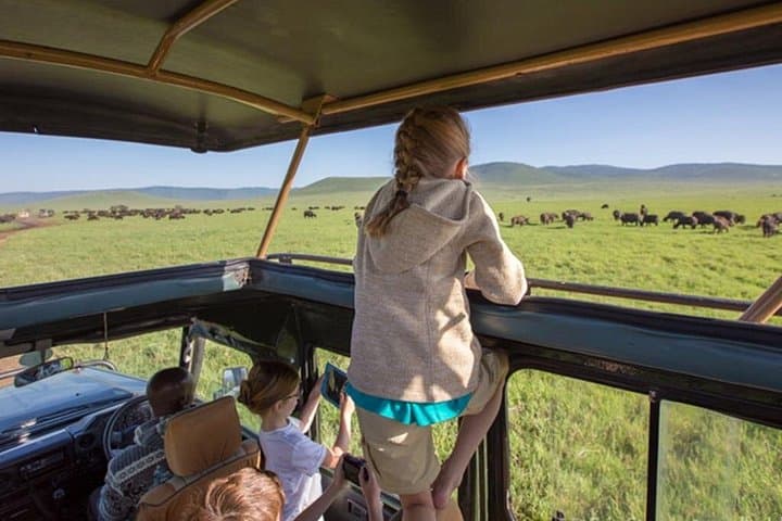 4-Day Safari: Maasai Mara & Lake Nakuru at Sarova Lodges photo 3
