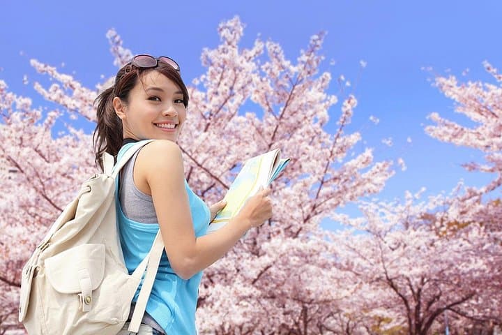 Kamakura Cherry Blossom Half-Day Walking Tour: Temples, Sakura, and Coastal Air photo 5