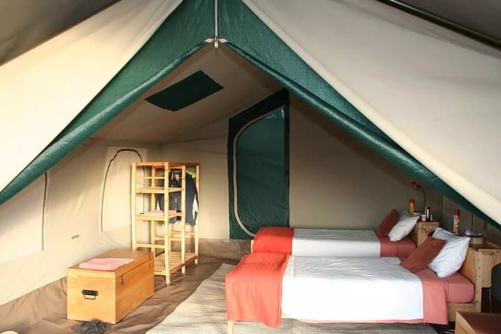 11-Day Big Five Safari: Kenya and Tanzania Game-Drive Adventure photo 6