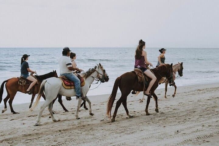 Sea and Desert Horseback Ride in Sharm El Sheikh