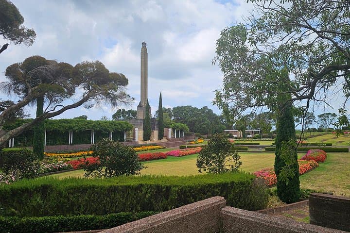 Auckland City Highlights: A 3.5-Hour City and Coastal Walkthrough photo 4