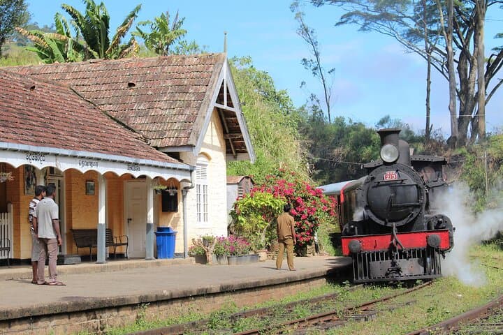 Explore Ella in 3 Days: Nine Arch Bridge, Little Adam's Peak & Ravana Falls photo 3