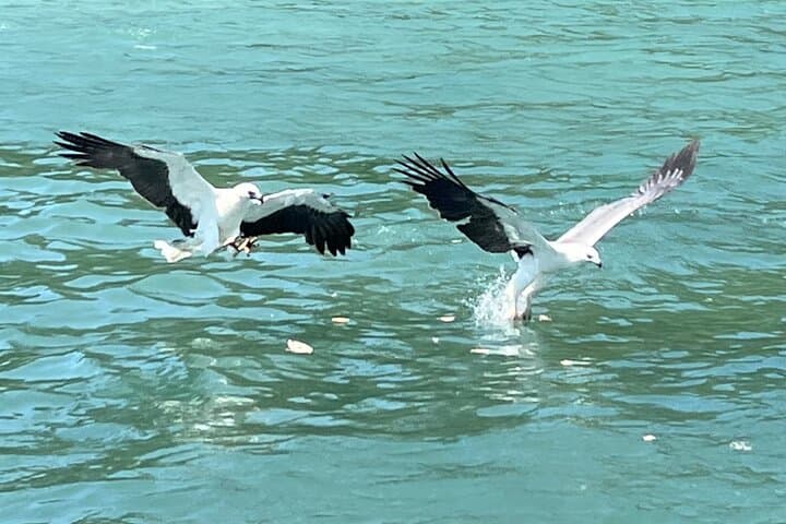 Langkawi Premium Island Hopping — Beras Basah, Dayang Bunting & Pasir Putih photo 4