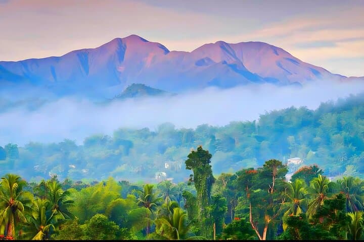 Private Blue Mountain Tour from Ocho Rios: Blue Mountain Coffee Farm & Rainforest Day Trip photo 1