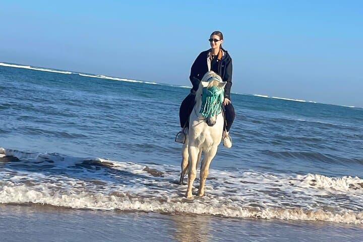 Sunset Horseback Ride from Casablanca — 2–3 Hour Beach and Countryside Experience photo 6