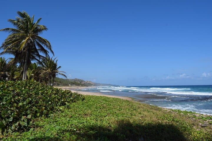 Barbados Paradise Tour — Cherry Tree Hill, Bathsheba & Carlisle Bay (6‑Hour) photo 2