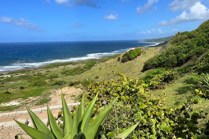 Barbados Paradise Tour — Cherry Tree Hill, Bathsheba & Carlisle Bay (6‑Hour) photo 4