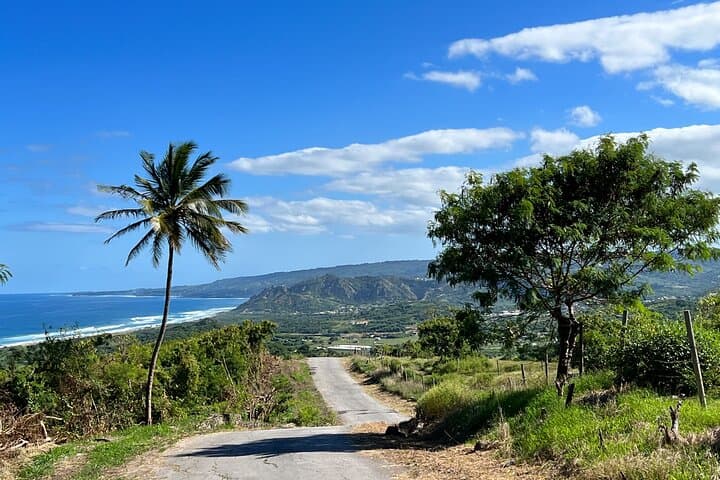 Barbados Paradise Tour — Cherry Tree Hill, Bathsheba & Carlisle Bay (6‑Hour)