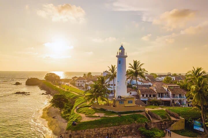 Southern Sri Lanka 9-Day Adventure: Beaches, Rainforest & Safari
