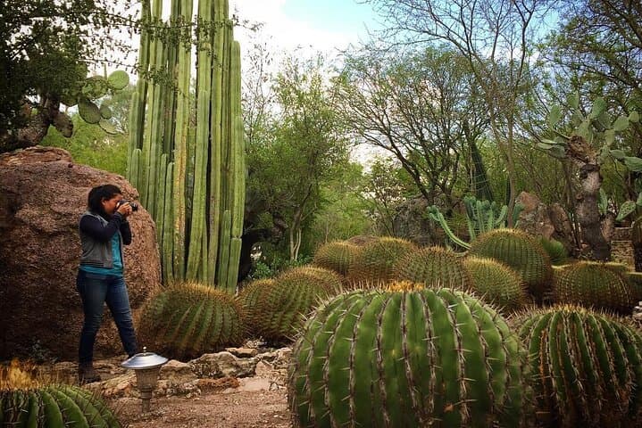 Day Tour to Querétaro’s Magical Towns: Bernal, Tequisquiapan & Sierra Gorda photo 5