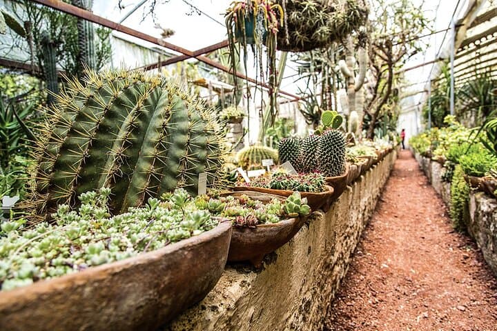 Day Tour to Querétaro’s Magical Towns: Bernal, Tequisquiapan & Sierra Gorda photo 3