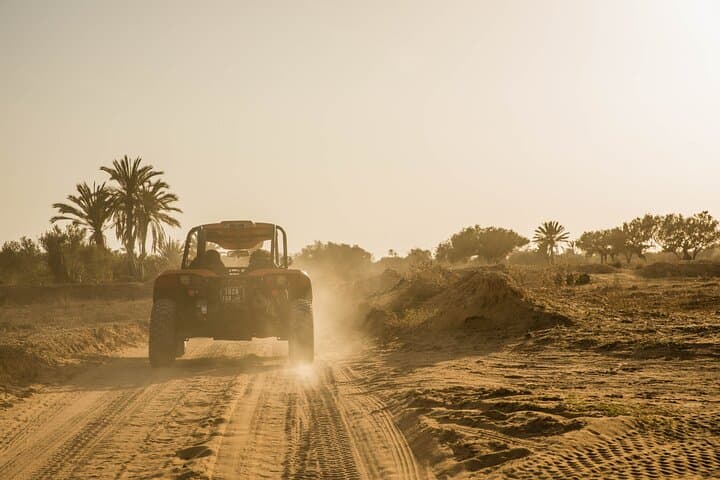Djerba 1H30 Buggy Tour: Olive Fields, Palm Groves & Beach Photo Stop