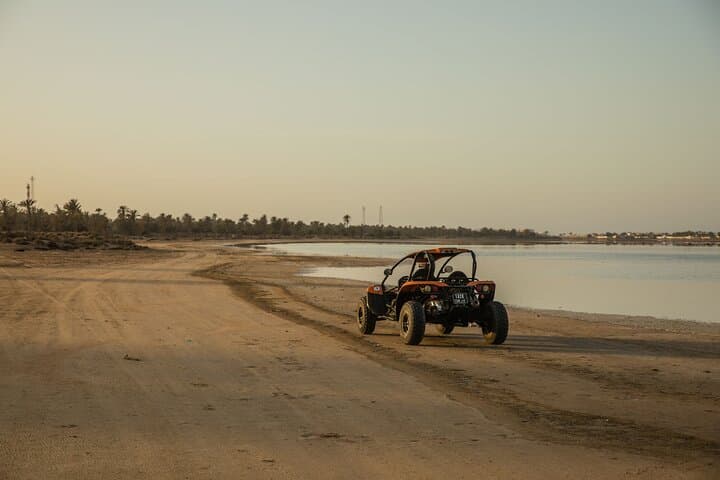 Djerba 1H30 Buggy Tour: Olive Fields, Palm Groves & Beach Photo Stop photo 4