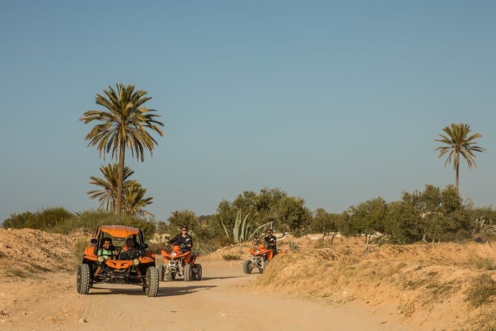 Djerba 1H30 Buggy Tour: Olive Fields, Palm Groves & Beach Photo Stop photo 5