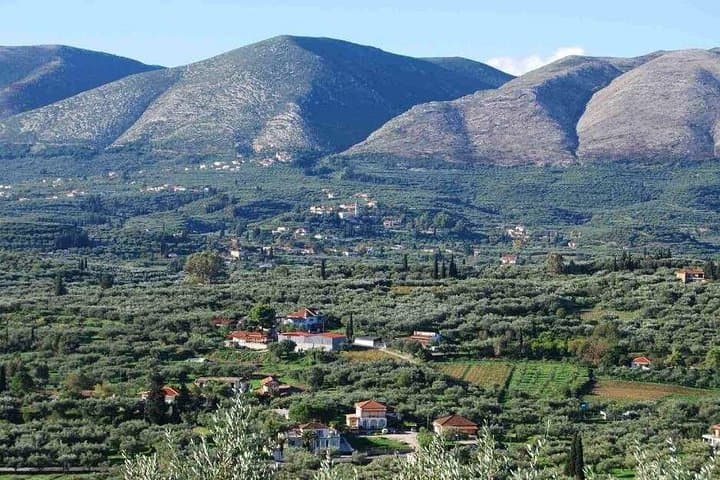 Taste of Zante: Wineries & Olive Oil Factories Private Tour in Zakynthos photo 3