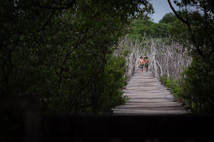 Avellanas Wildlife Walk: Mangroves, Monkeys & Coastal Ecology Tour photo 6
