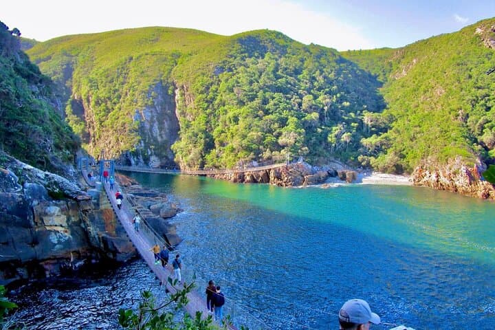 Garden Route Day Trip: Tsitsikamma, Storms River Bridge & The Big Tree from Port Elizabeth photo 3