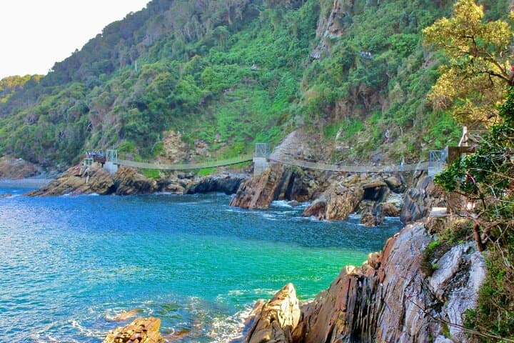 Garden Route Day Trip: Tsitsikamma, Storms River Bridge & The Big Tree from Port Elizabeth photo 4