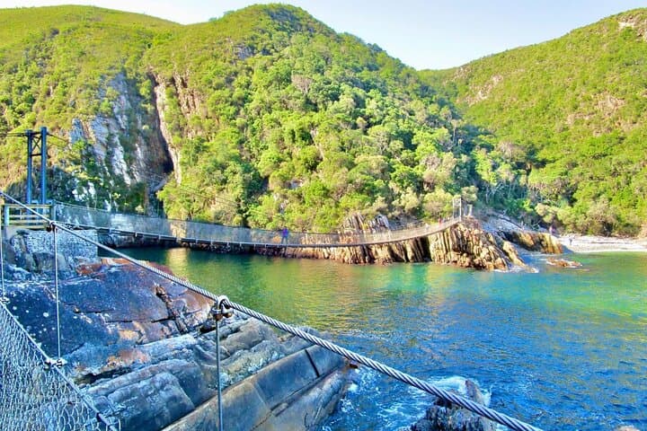 Garden Route Day Trip: Tsitsikamma, Storms River Bridge & The Big Tree from Port Elizabeth photo 5
