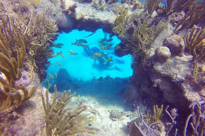 Beginner Scuba in San Andres: Corals, Statues & Shallow Reefs photo 5