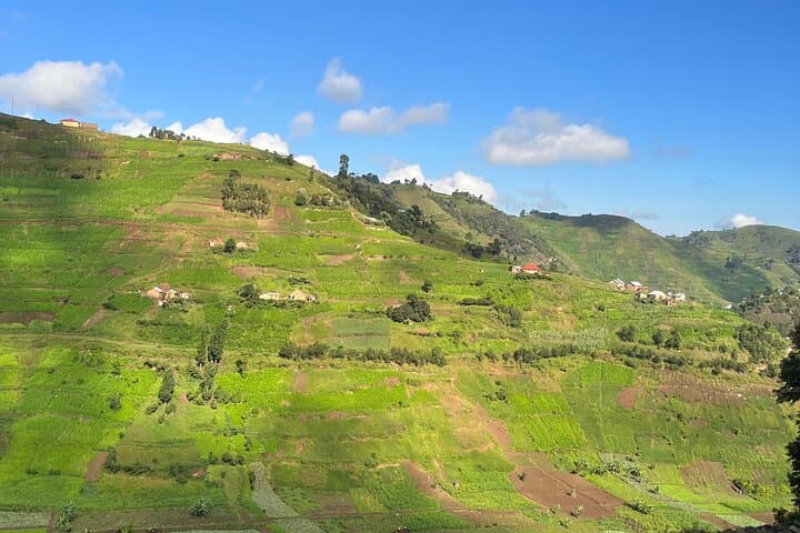 Hiking the Kisoro Hills: A Half-Day Trek Through Western Uganda photo 2