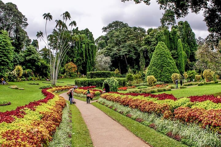 Kandy Day Tour from Galle: Temple of the Tooth, Peradeniya Gardens & Bahirawakanda photo 2