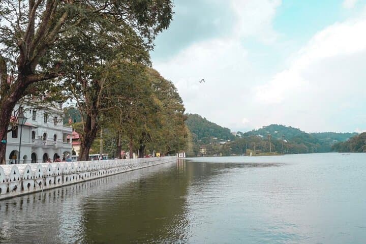 Kandy Private Day Tour from Trincomalee – Temple, Botanical Gardens & Gem Shopping in One Day