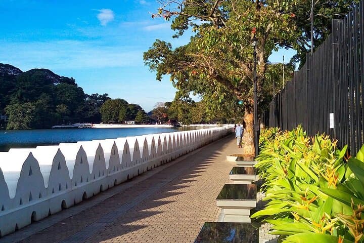 Kandy Day Tour from Galle: Temple of the Tooth, Peradeniya Gardens & Bahirawakanda photo 6