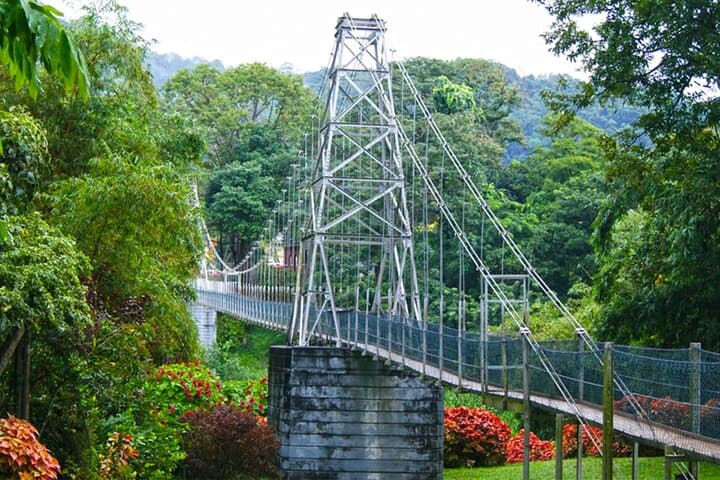 Kandy Day Tour from Galle: Temple of the Tooth, Peradeniya Gardens & Bahirawakanda photo 3