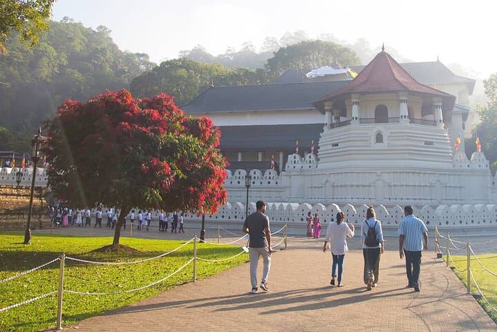 Kandy Private Day Tour from Trincomalee – Temple, Botanical Gardens & Gem Shopping in One Day photo 6